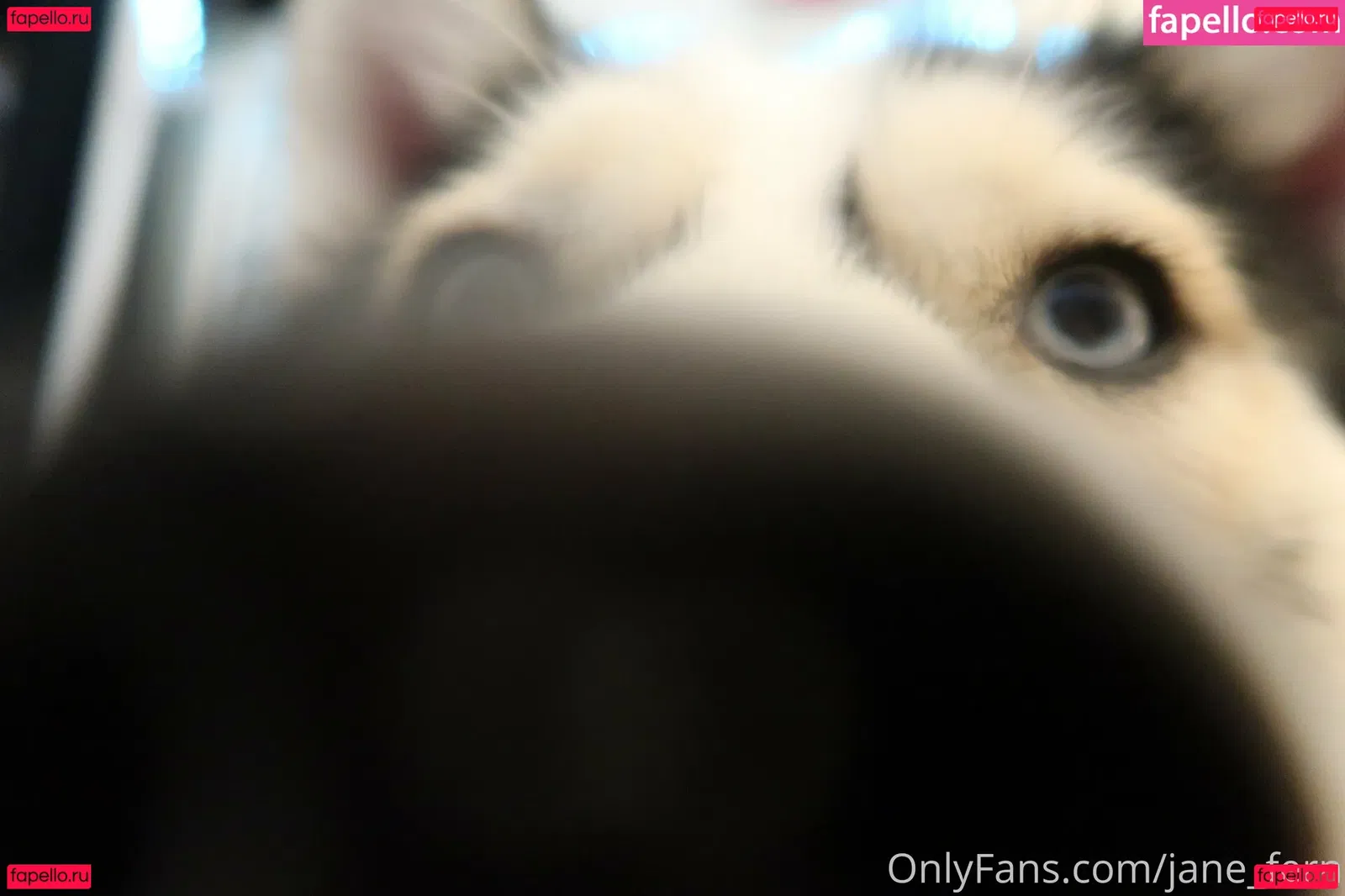 jane_fern Onlyfans Photo Gallery 