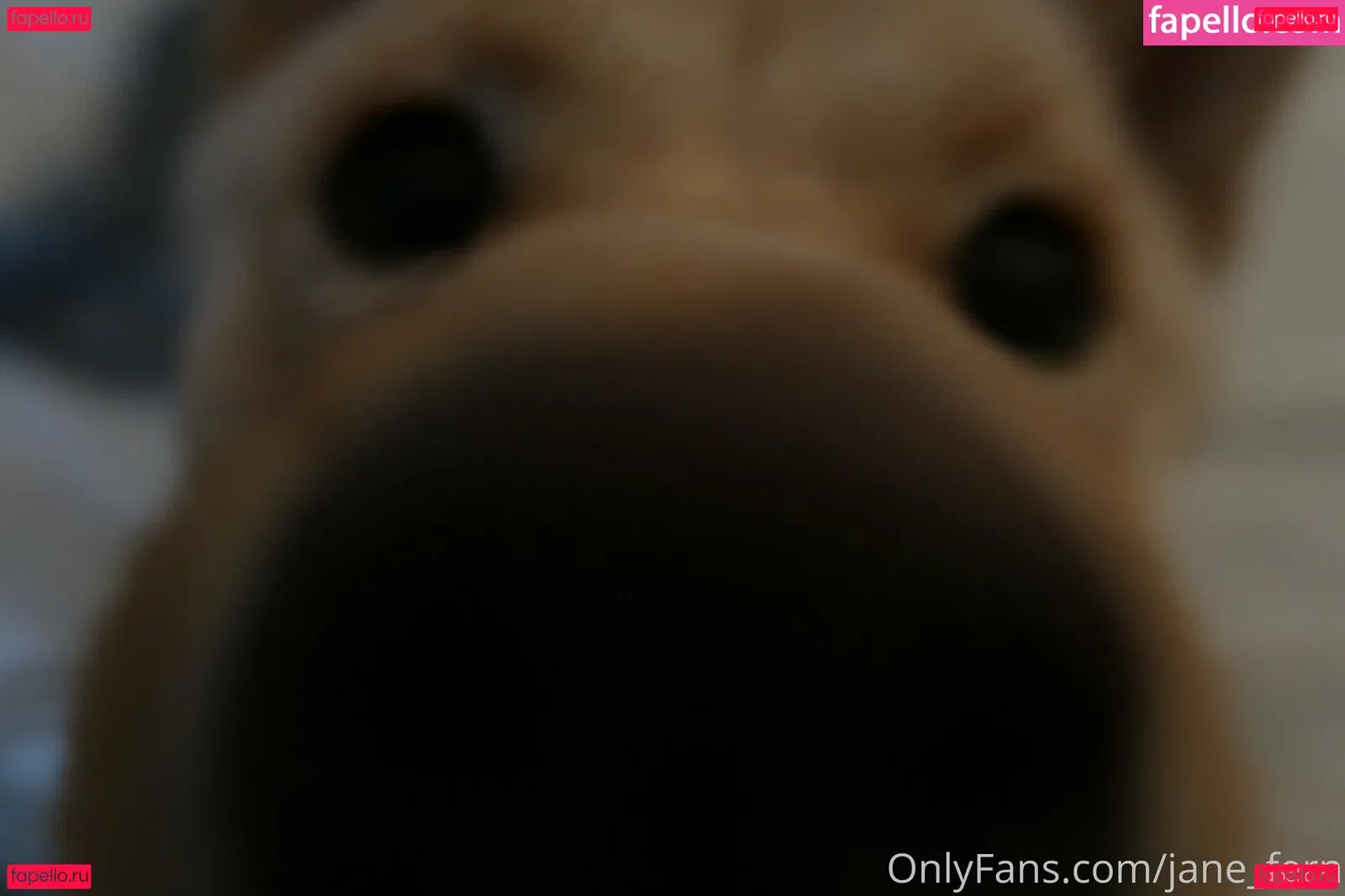 jane_fern Onlyfans Photo Gallery 