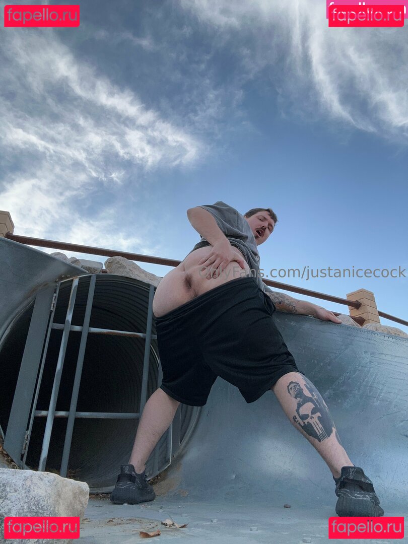 justanicecock Nude Onlyfans Photo 49