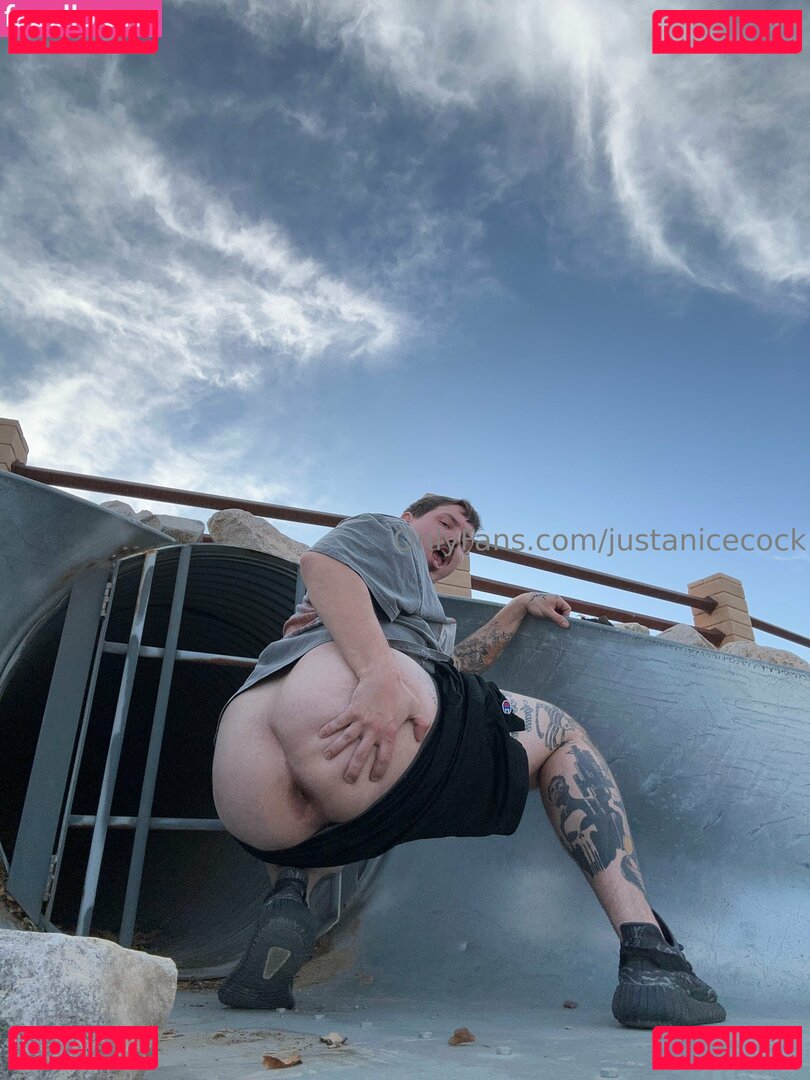 justanicecock Nude Onlyfans Photo 48