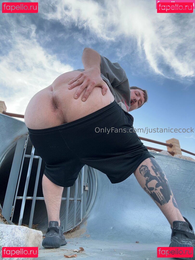 justanicecock Nude Onlyfans Photo 47