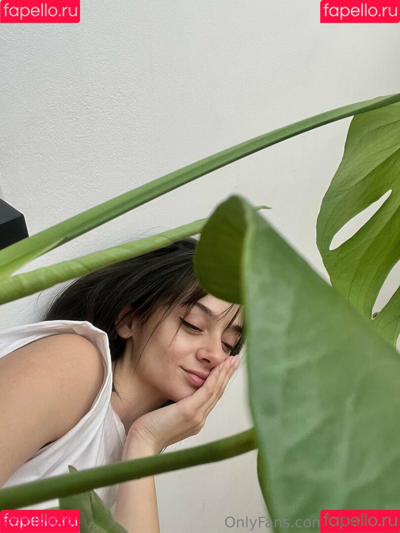 rosedomi Onlyfans Photo Gallery 