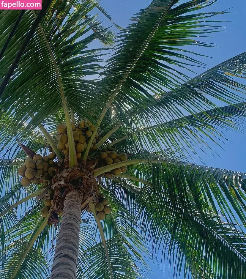 baelib Onlyfans Photo Gallery 