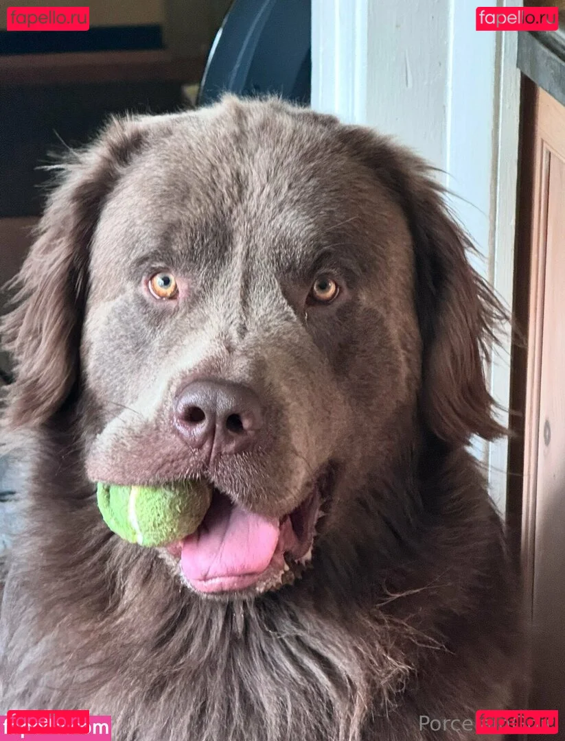 porcelaingoirl Onlyfans Photo Gallery 