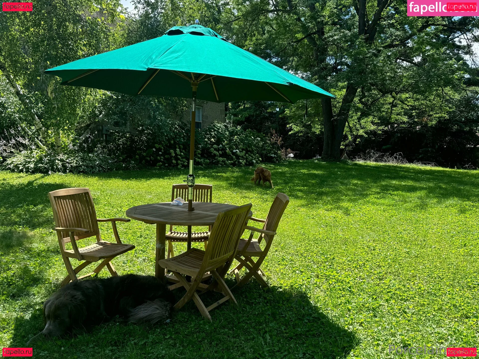 porcelaingoirl Onlyfans Photo Gallery 