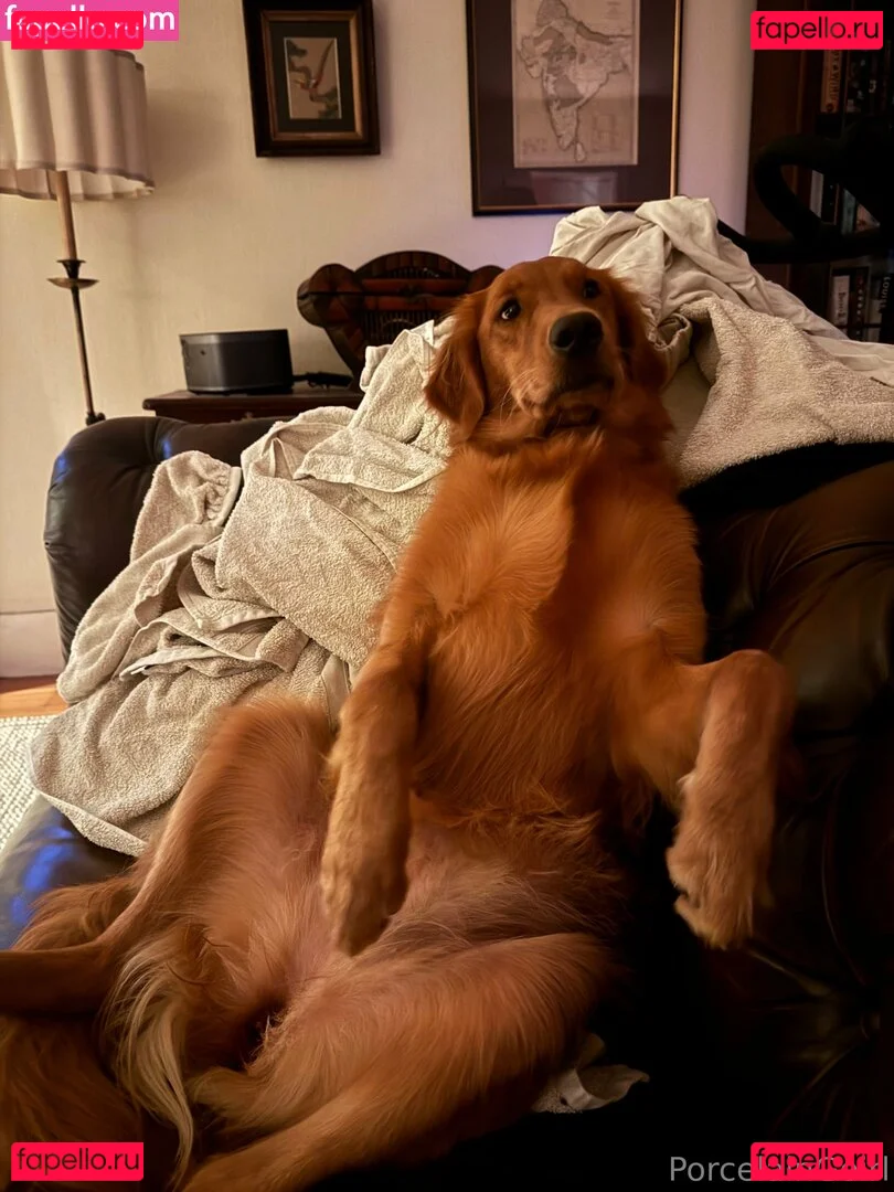 porcelaingoirl Onlyfans Photo Gallery 