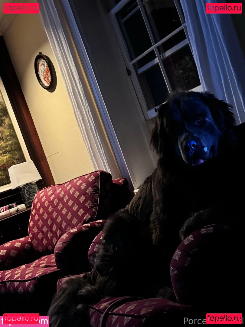 porcelaingoirl Onlyfans Photo Gallery 