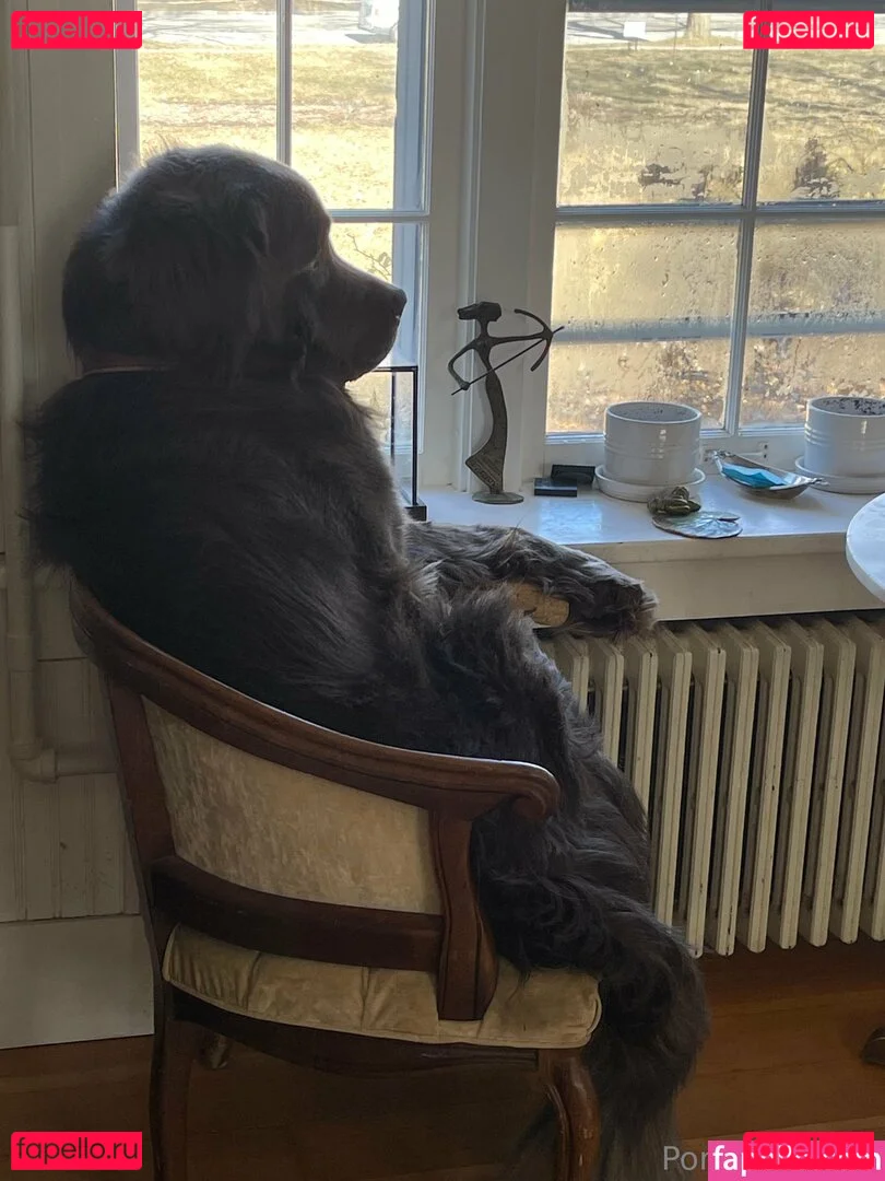 porcelaingoirl Onlyfans Photo Gallery 