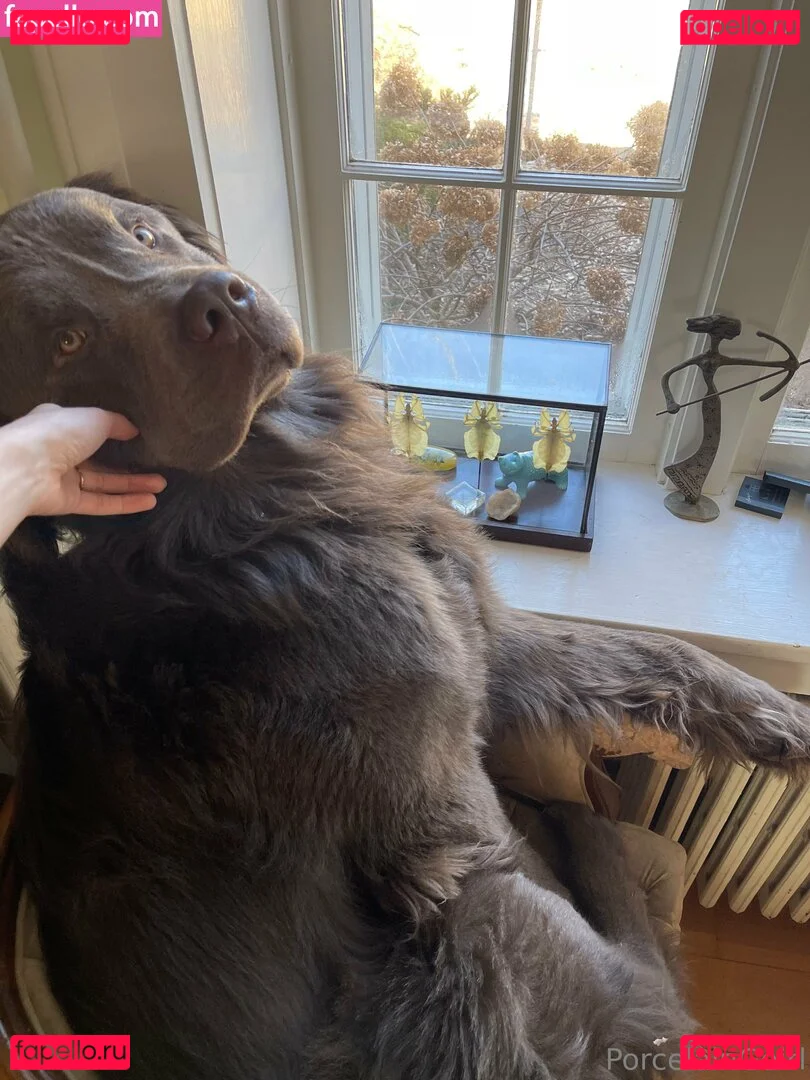 porcelaingoirl Onlyfans Photo Gallery 