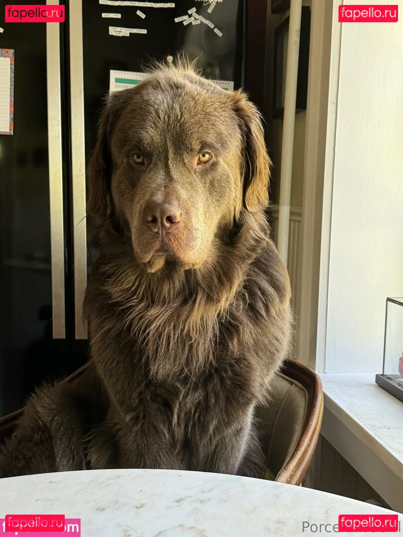 porcelaingoirl Onlyfans Photo Gallery 