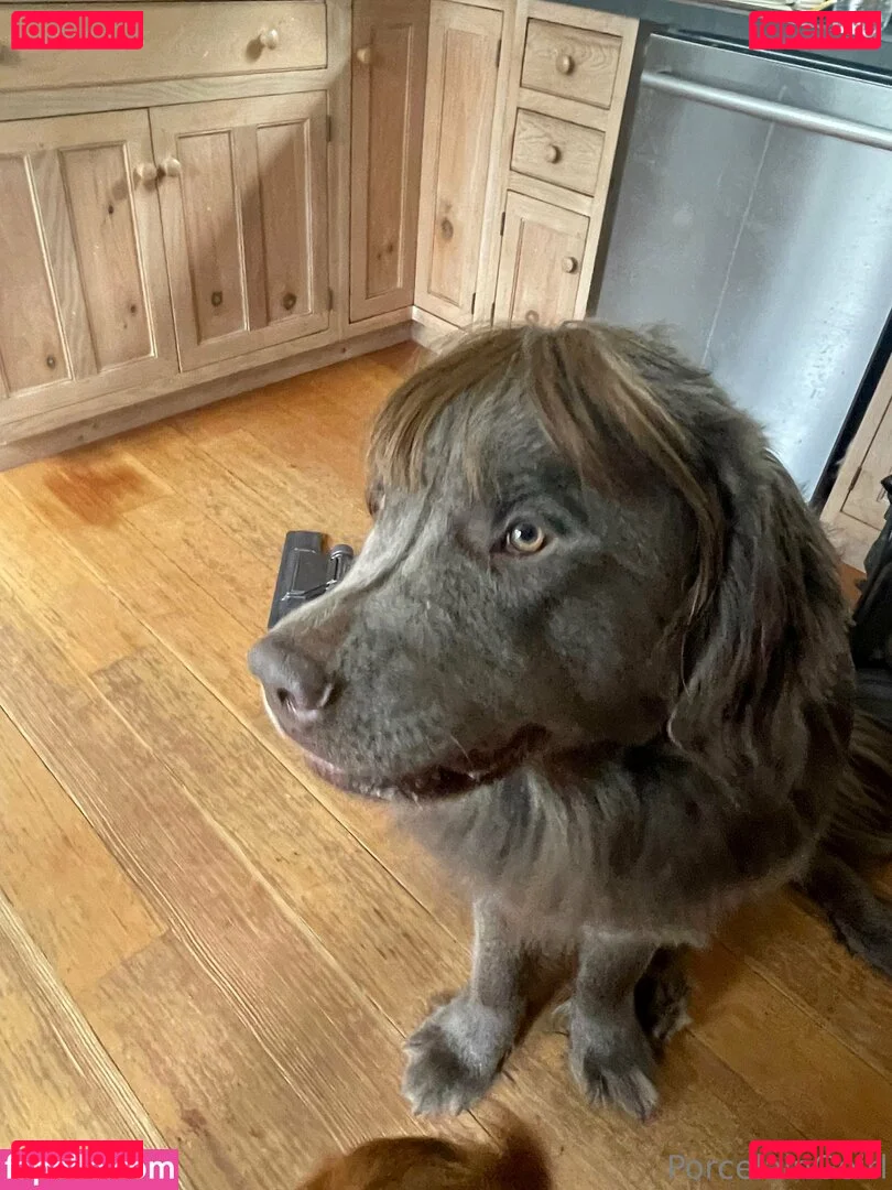 porcelaingoirl Onlyfans Photo Gallery 