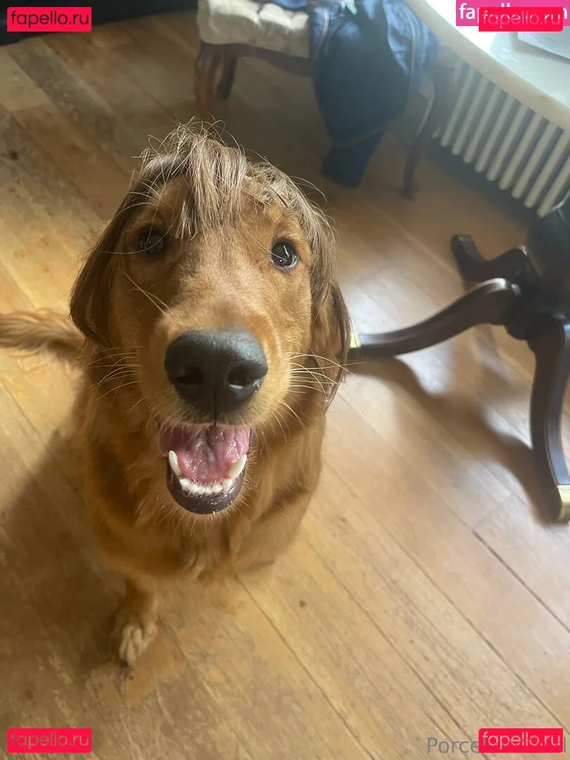 porcelaingoirl Onlyfans Photo Gallery 