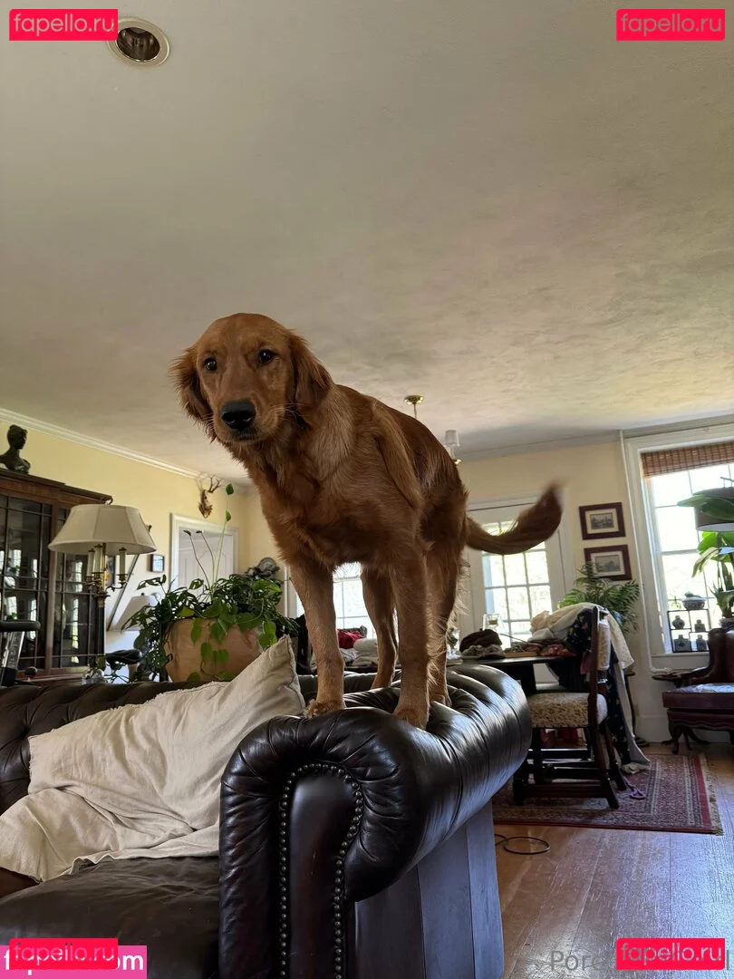 porcelaingoirl Onlyfans Photo Gallery 