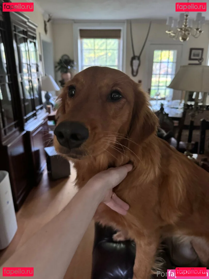 porcelaingoirl Onlyfans Photo Gallery 