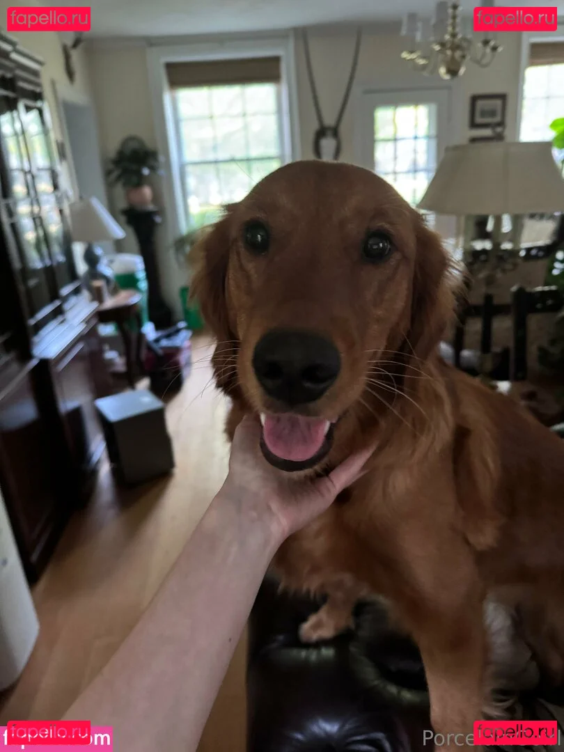 porcelaingoirl Onlyfans Photo Gallery 