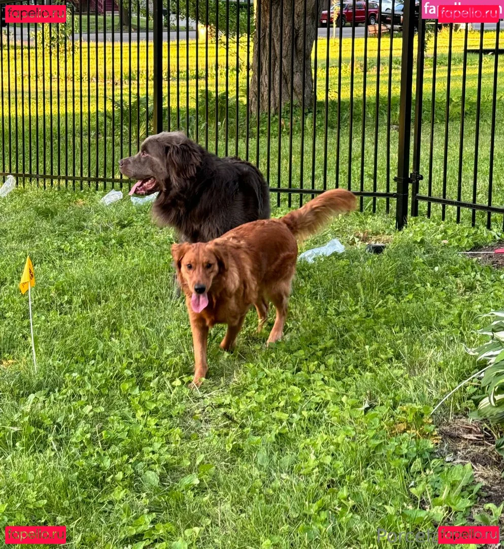 porcelaingoirl Onlyfans Photo Gallery 