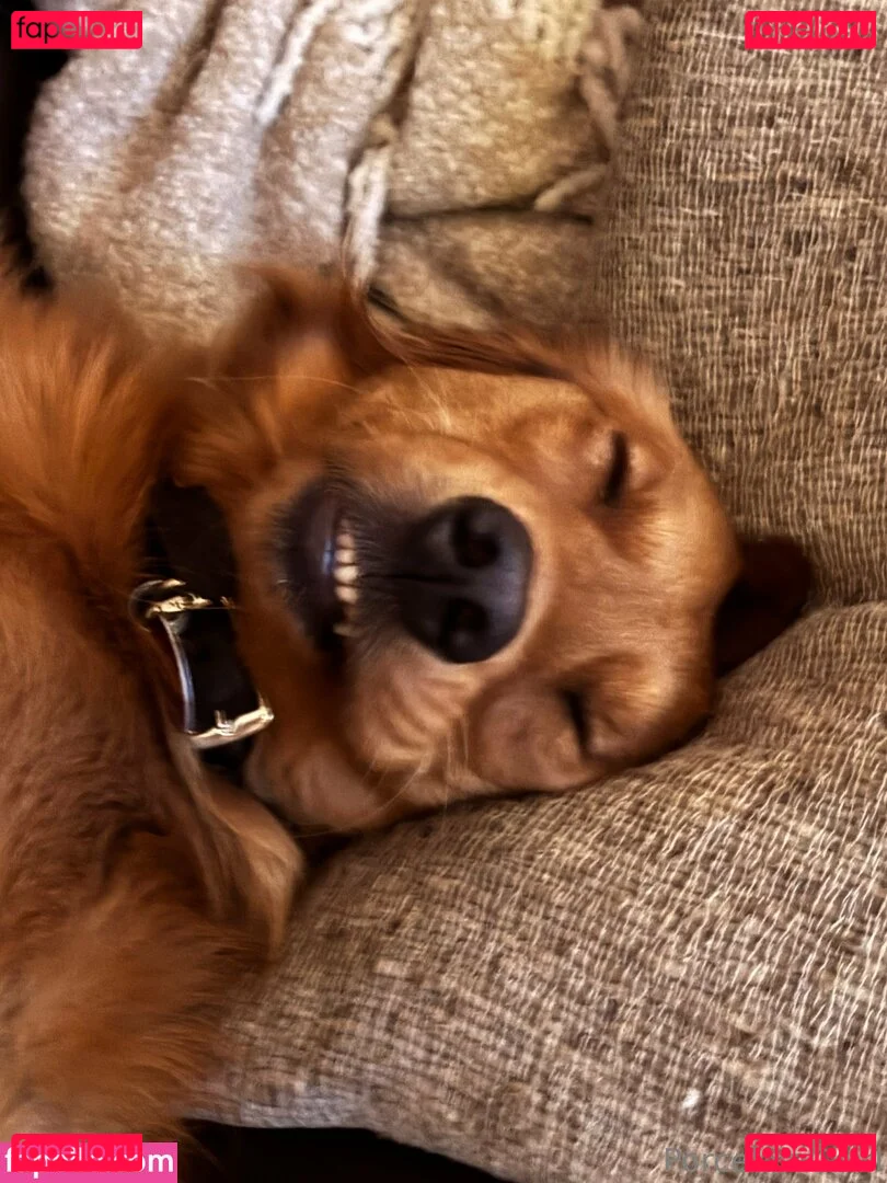 porcelaingoirl Onlyfans Photo Gallery 