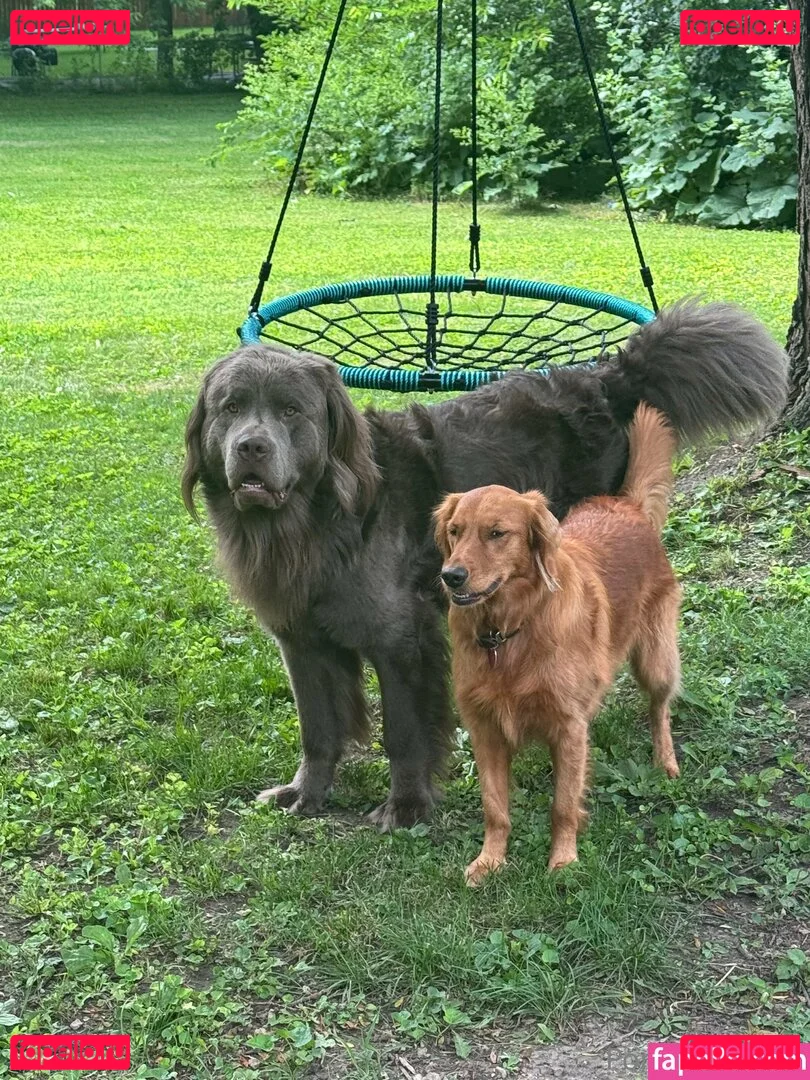 porcelaingoirl Onlyfans Photo Gallery 