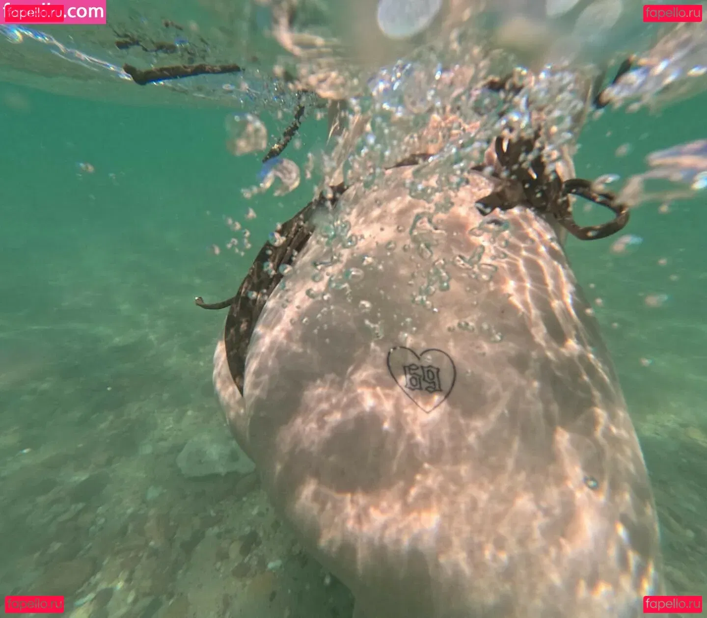 Paladinamber Onlyfans Photo Gallery 