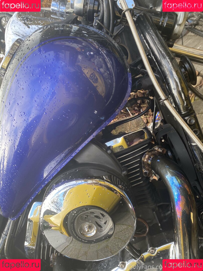 rosemarine Onlyfans Photo Gallery 