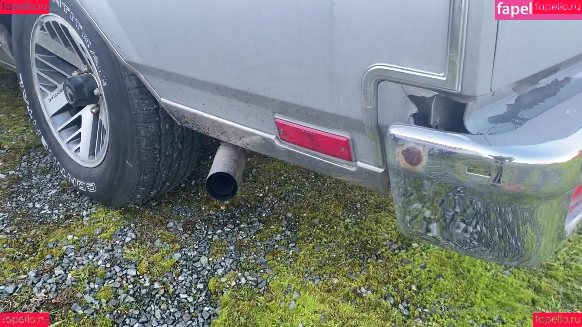 rosemarine Onlyfans Photo Gallery 