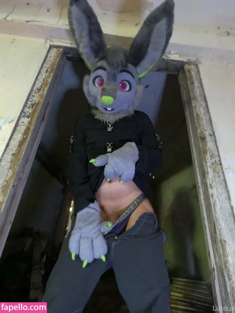 u61976890 Onlyfans Photo Gallery 