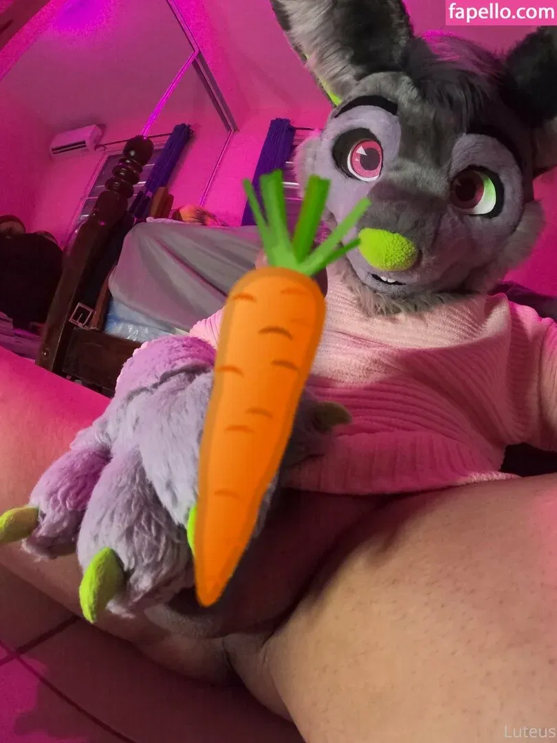 u61976890 Onlyfans Photo Gallery 