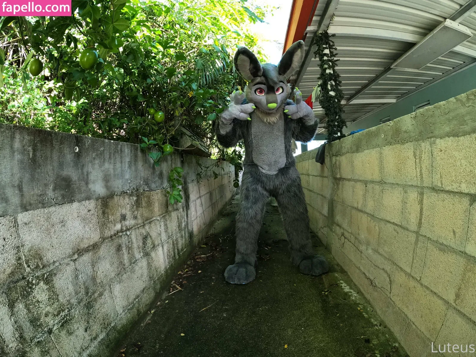 u61976890 Onlyfans Photo Gallery 