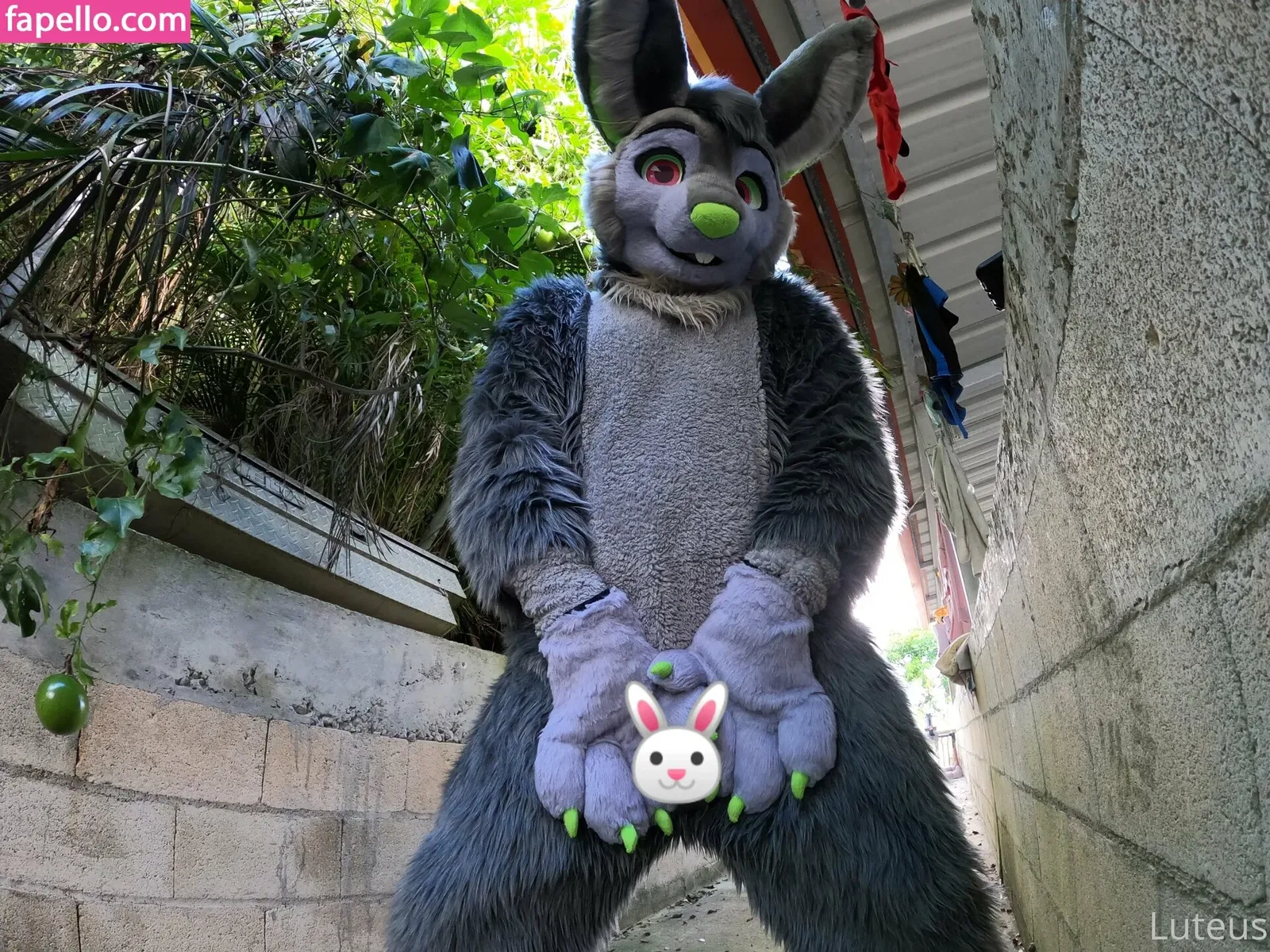 u61976890 Onlyfans Photo Gallery 