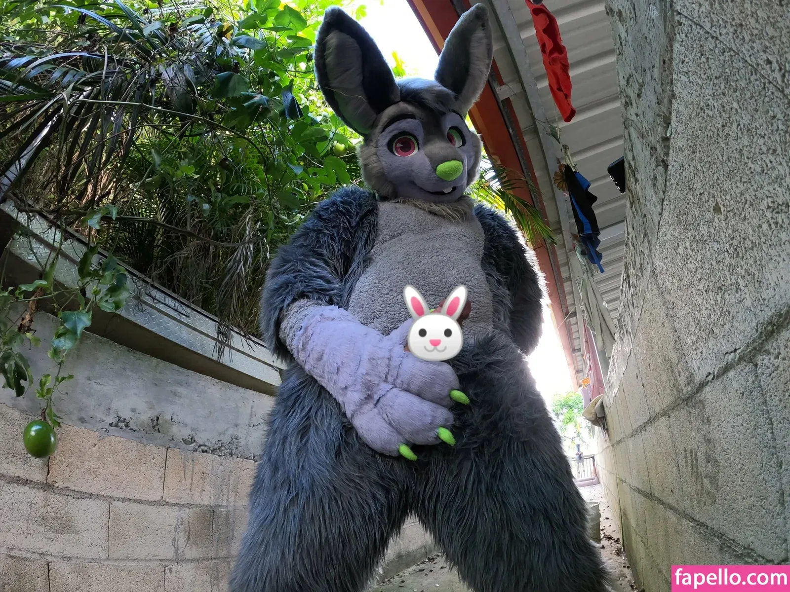 u61976890 Onlyfans Photo Gallery 