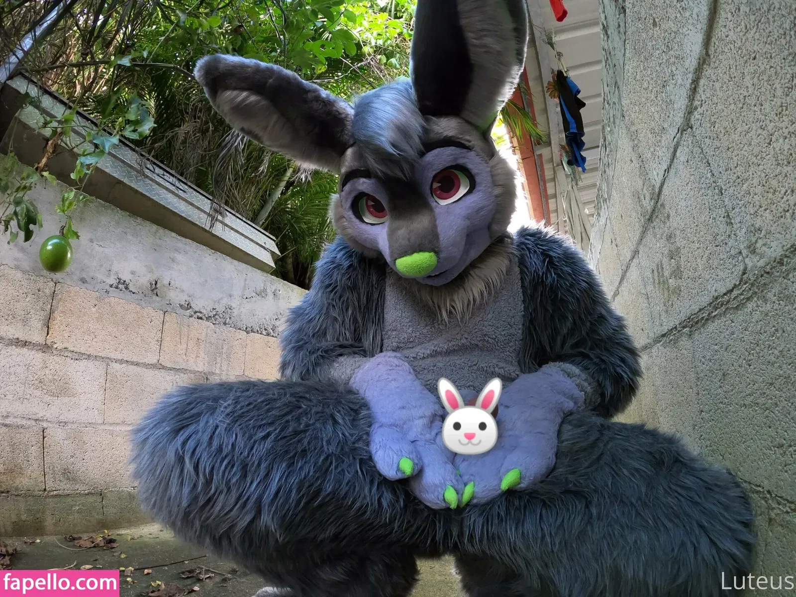 u61976890 Onlyfans Photo Gallery 