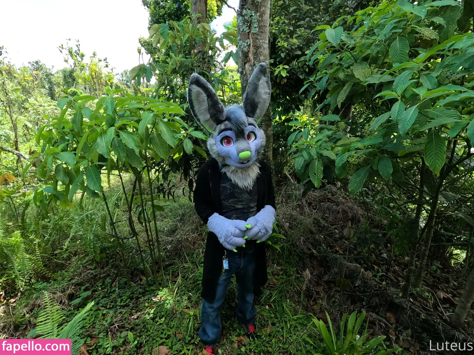 u61976890 Onlyfans Photo Gallery 