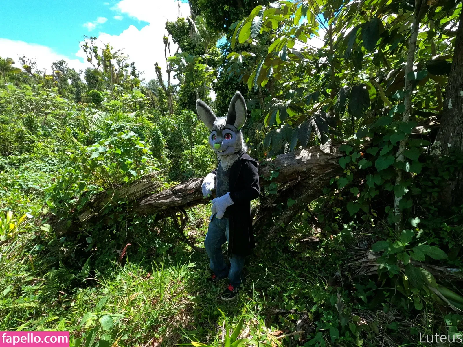 u61976890 Onlyfans Photo Gallery 