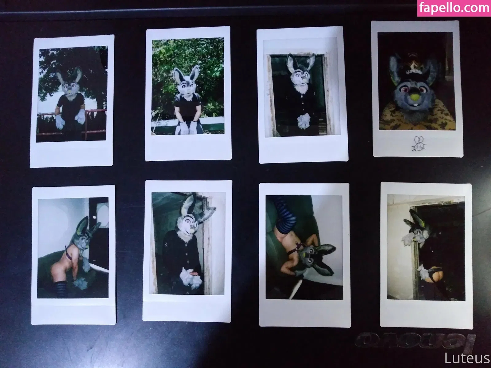 u61976890 Onlyfans Photo Gallery 