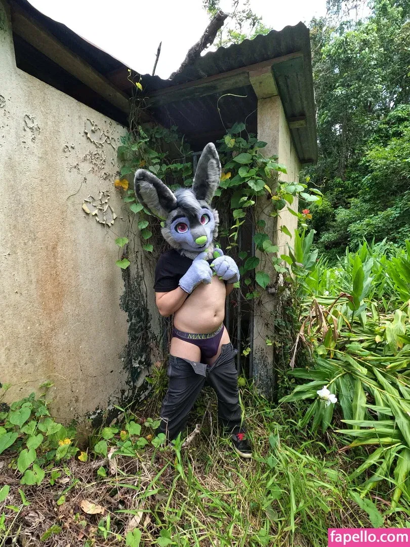 u61976890 Onlyfans Photo Gallery 