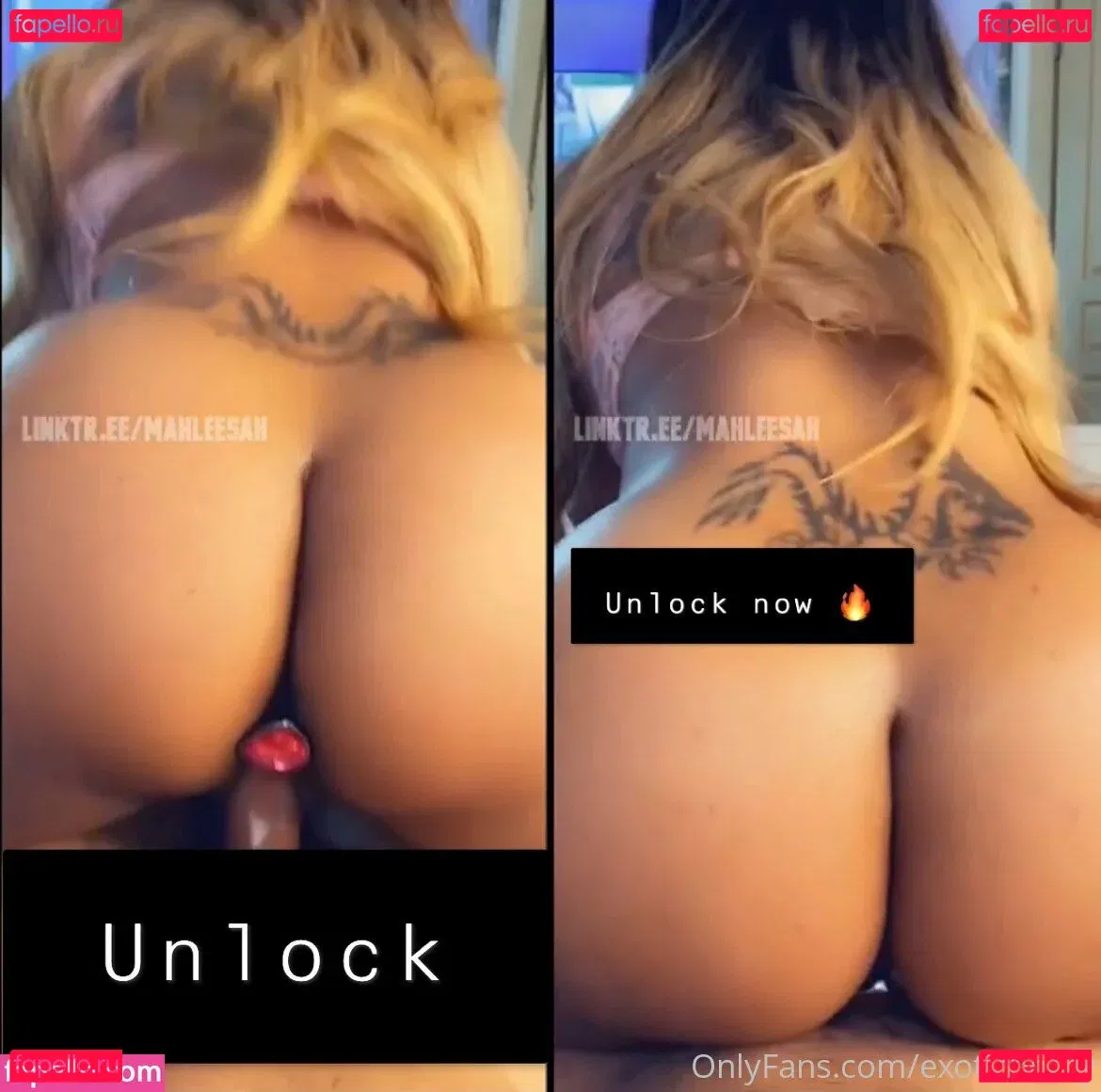 exoticbooty Onlyfans Photo Gallery 