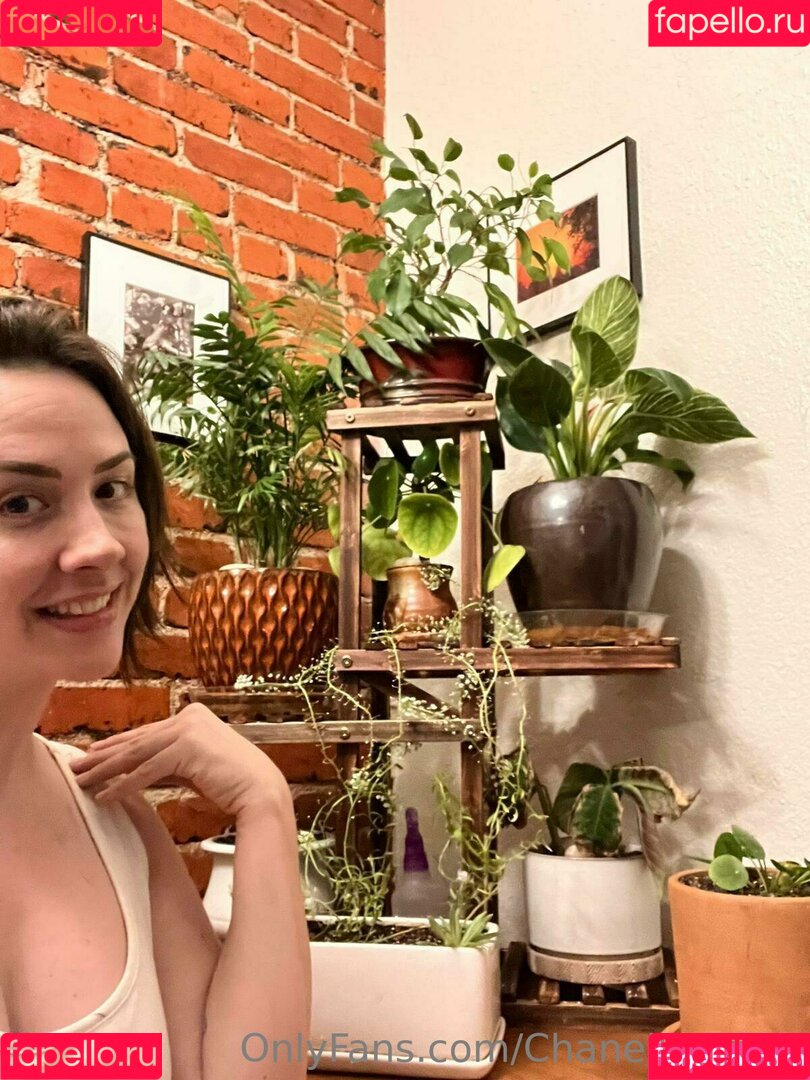 chanelpreston Onlyfans Photo Gallery 