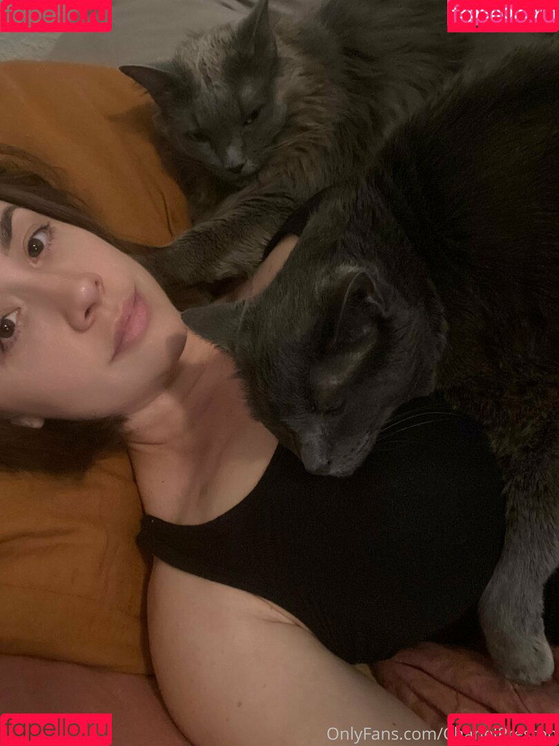 chanelpreston Onlyfans Photo Gallery 