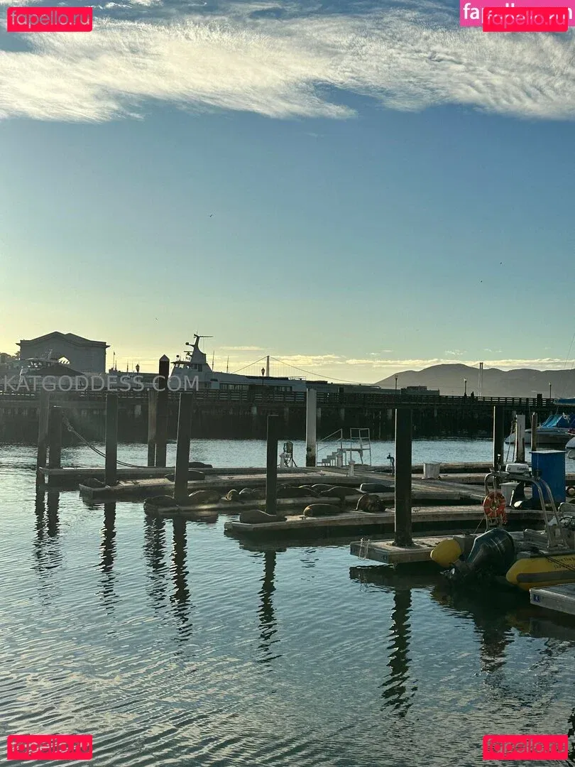 katgoddessx Onlyfans Photo Gallery 