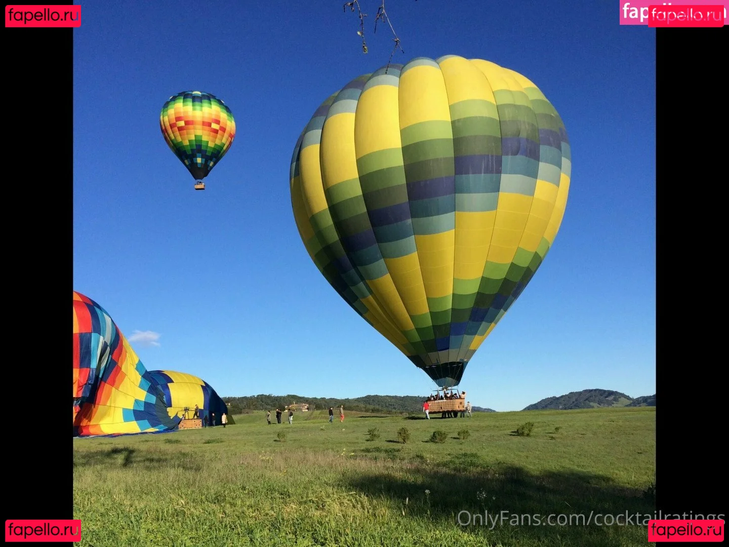 cocktailratings Onlyfans Photo Gallery 