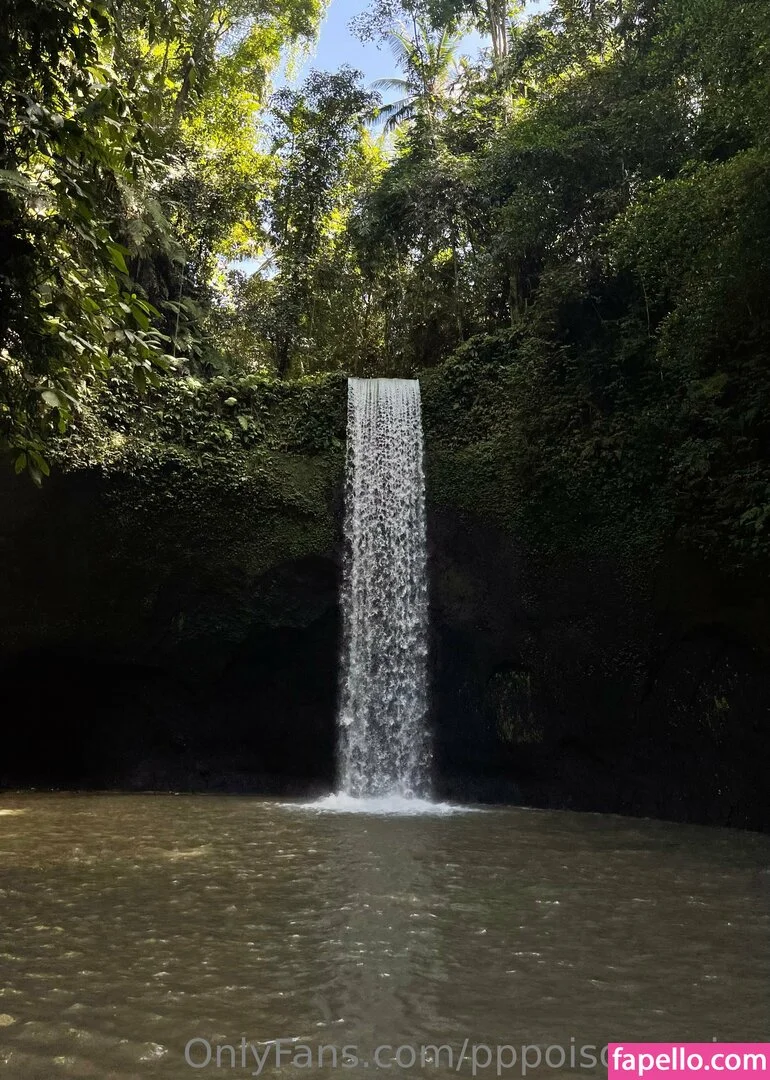 pppoisonnn.ivy Onlyfans Photo Gallery 