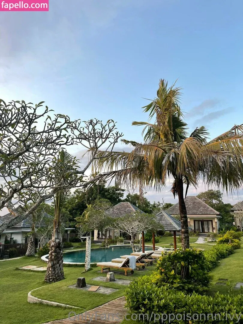 pppoisonnn.ivy Onlyfans Photo Gallery 