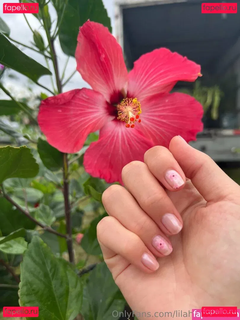 lilahsummersx Onlyfans Photo Gallery 