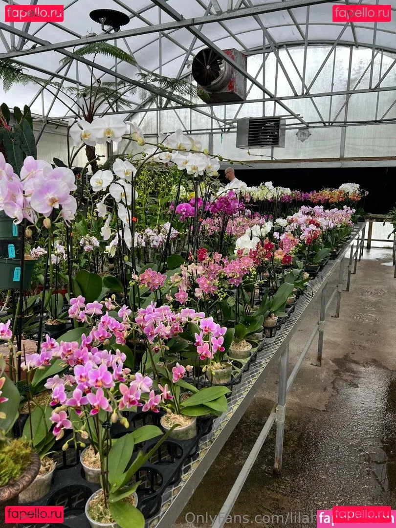 lilahsummersx Onlyfans Photo Gallery 