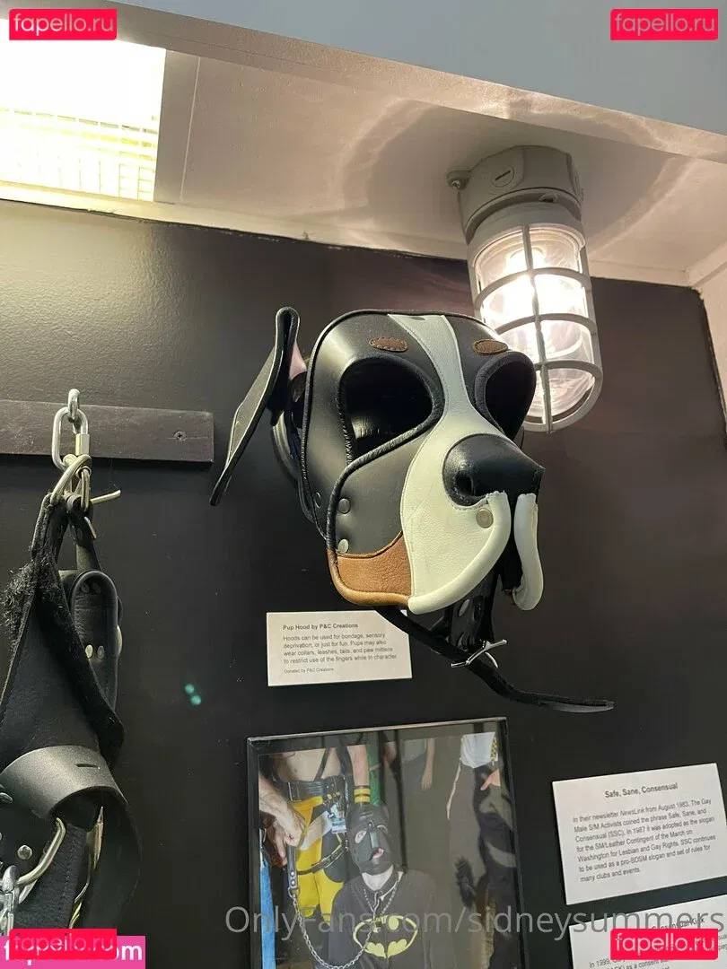 sidneysummers Onlyfans Photo Gallery 