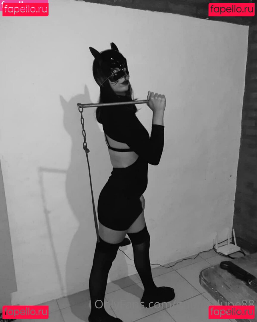 guuadalupe88 Nude Onlyfans Photo 5
