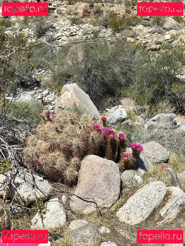 Taylor Rose Nude Onlyfans Photo 23