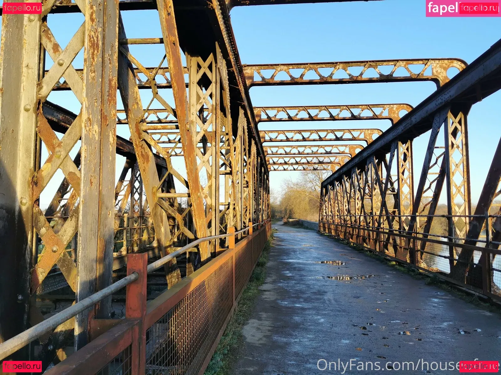 houseofrae Onlyfans Photo Gallery 