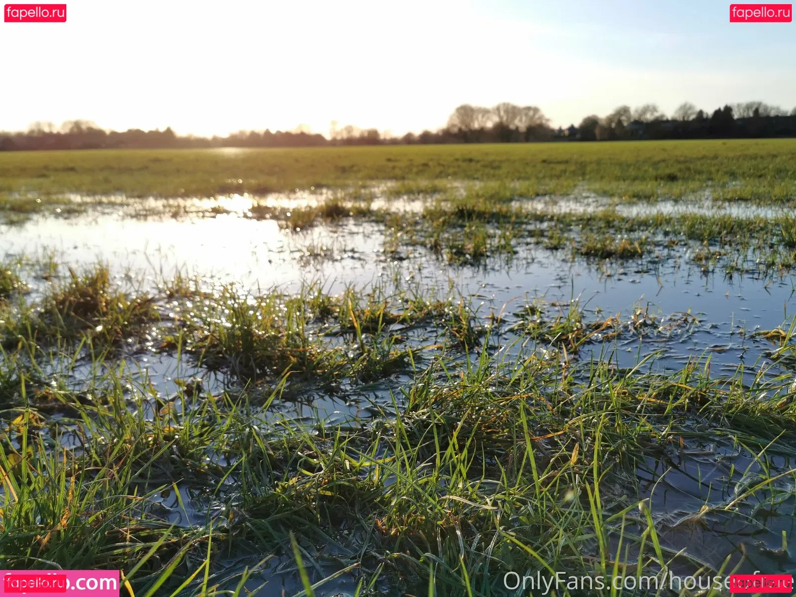 houseofrae Onlyfans Photo Gallery 