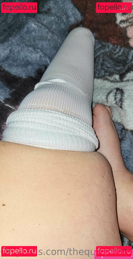 thequeenbee69 Nude Onlyfans Photo 23